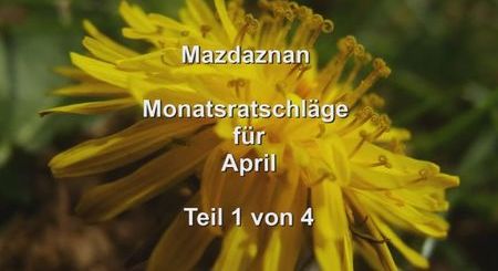 Monatsratschlaege 04 Teil1