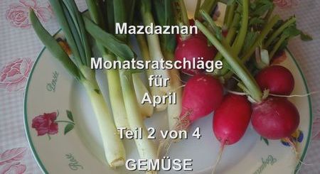 Monatsratschlaege 04 Teil2