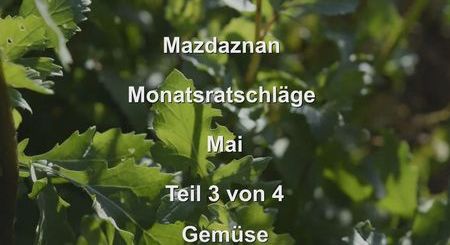 Monatsratschlaege 05 Teil3
