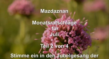 Monatsratschlaege 07 Teil2