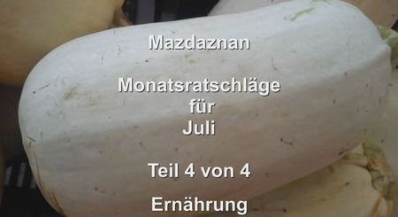 Monatsratschlaege 07 Teil4