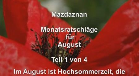 Monatsratschlaege 08 Teil1