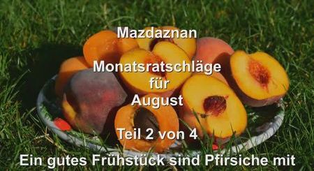 Monatsratschlaege 08 Teil2