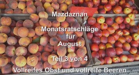 Monatsratschlaege 08 Teil3