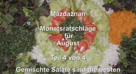 Monatsratschlaege 08 Teil4