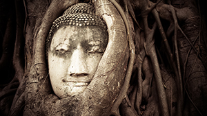 Buddha Weisheiten aus Tibet